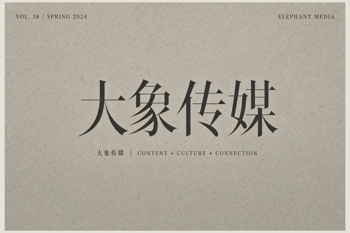 大象传媒品牌视觉